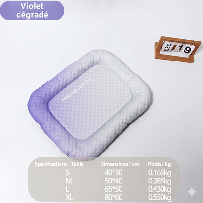 ChillMat – Le tapis rafraîchissant en soie de glace pour animaux