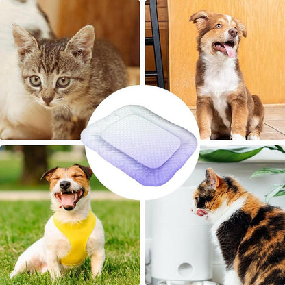ChillMat – Le tapis rafraîchissant en soie de glace pour animaux