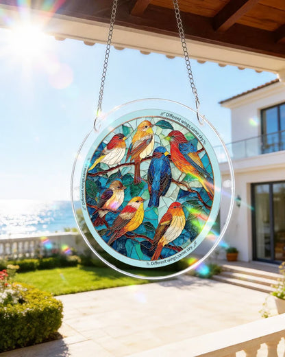 CrystalBird Pro – Un puzzle attrape-soleil coloré en acrylique pour illuminer votre intérieur