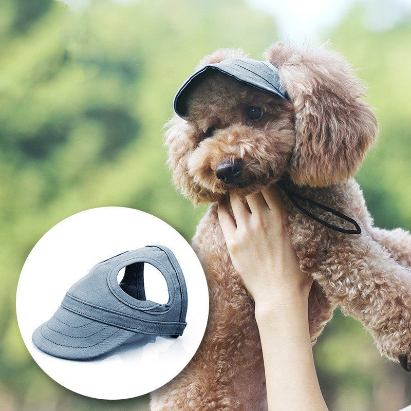 Chapeau pour Chien - Style & Confort Inégalés