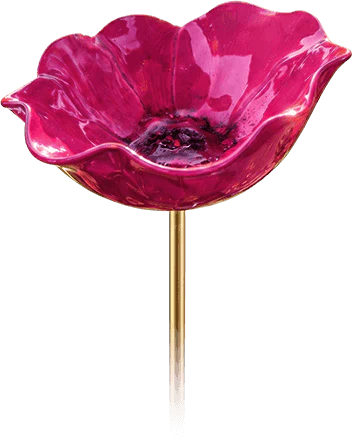 ArumOasis – La sculpture florale qui désaltère la nature