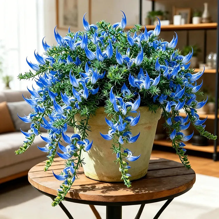 ParrotBloom – Les bulbes de fleurs uniques en bec de perroquet （100 graines）