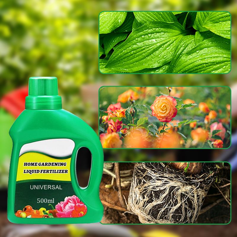 Floraboost FloraBoost – Formule tout-usage pour des plantes épanouies – HENDALLA