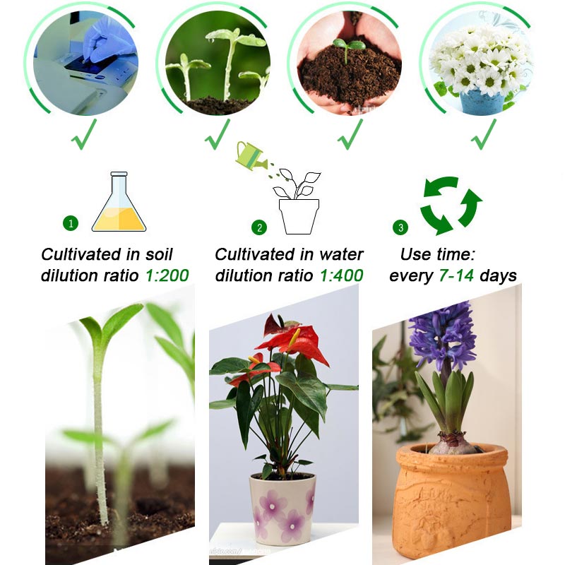 FloraBoost – Formule tout-usage pour des plantes épanouies