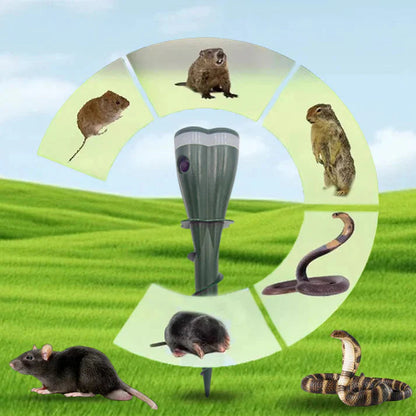 VibroTaupe – La vis solaire qui protège vos racines