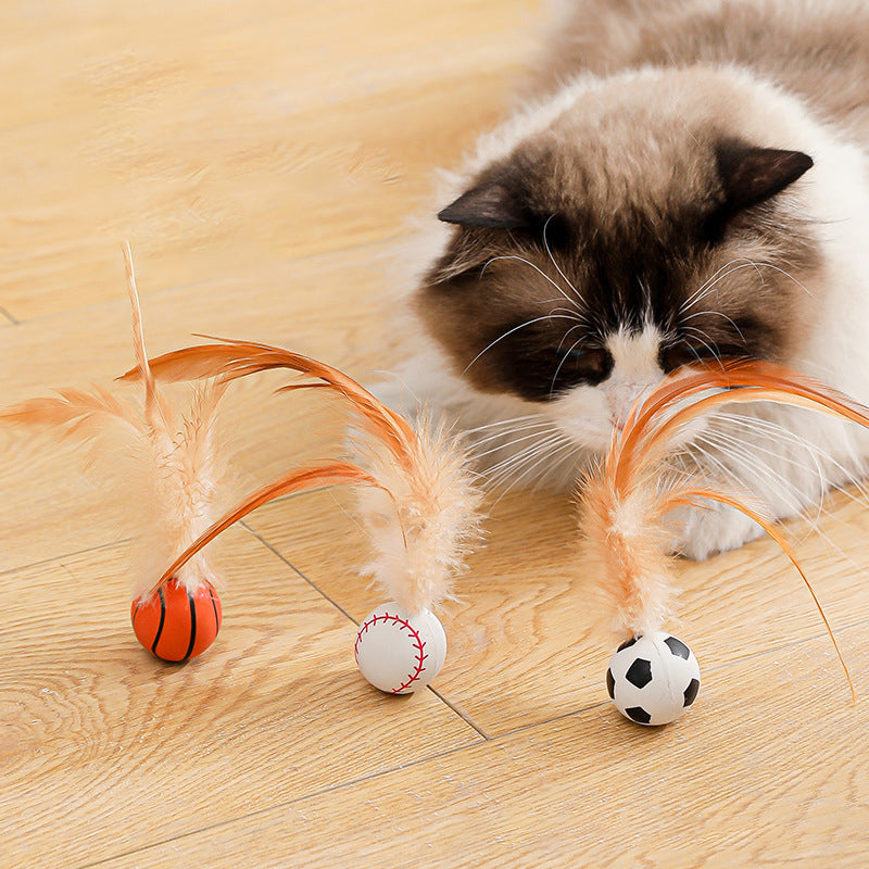 ChatBulle Kinetic – La balle à plume qui réveille l'instinct de chasse