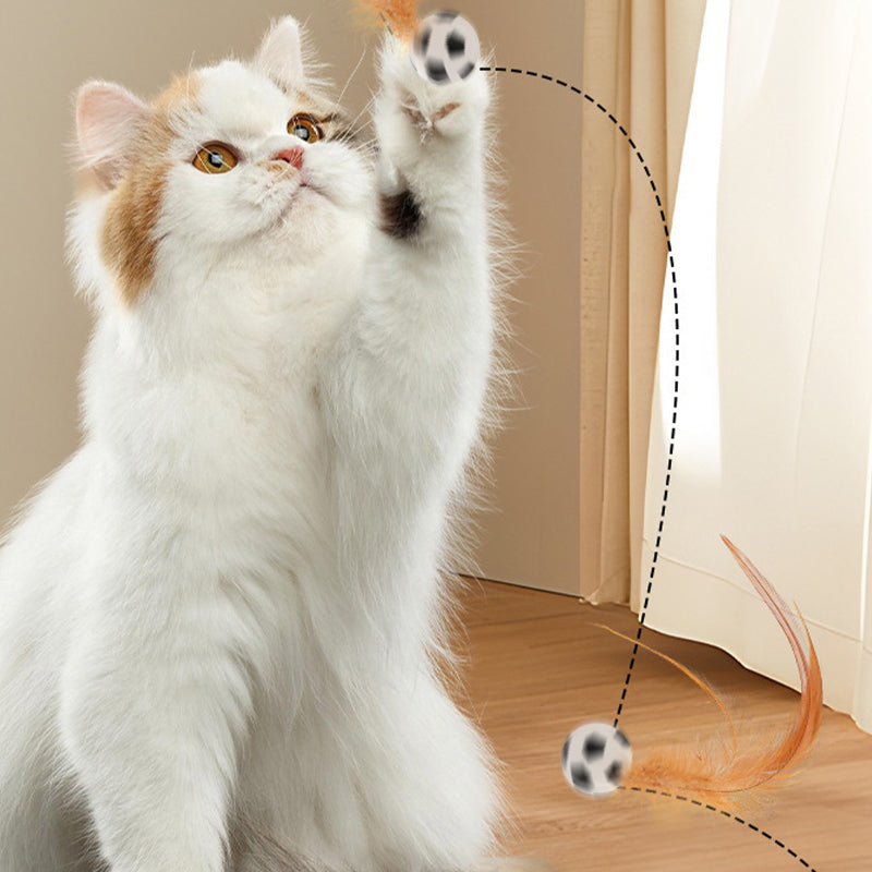 ChatBulle Kinetic – La balle à plume qui réveille l'instinct de chasse
