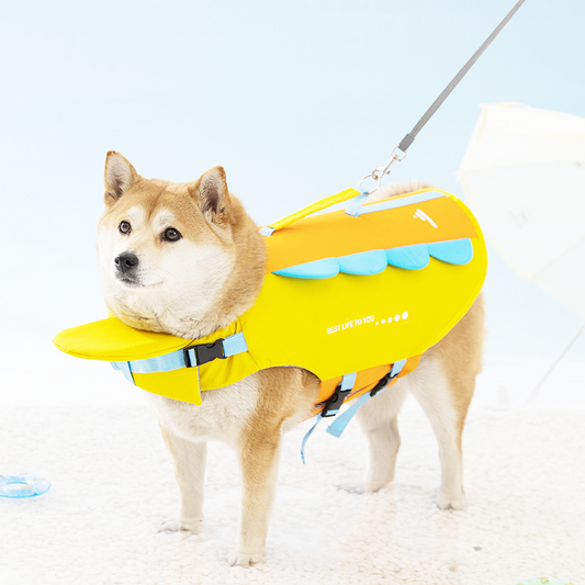 AquaSafe – La flottabilité supérieure pour garantir à votre chien des baignades en toute sécurité et sans effort