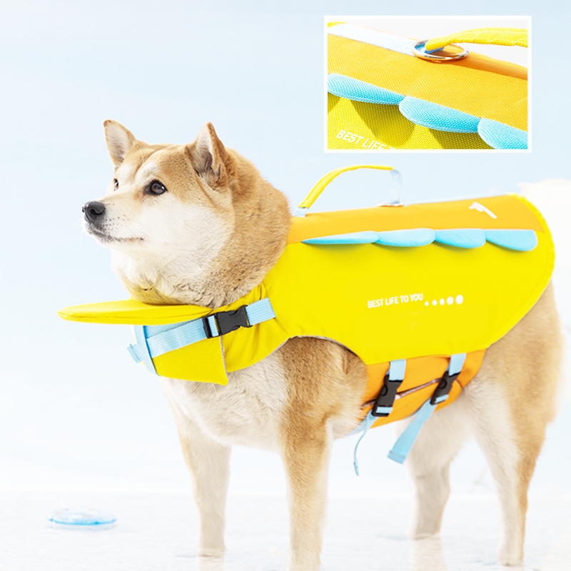 AquaSafe – La flottabilité supérieure pour garantir à votre chien des baignades en toute sécurité et sans effort