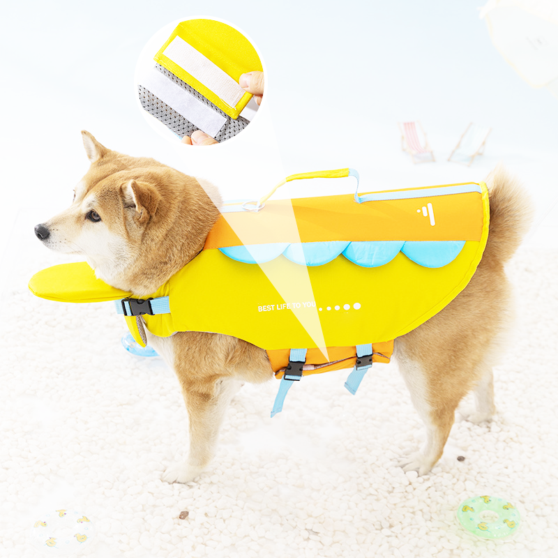 AquaSafe – La flottabilité supérieure pour garantir à votre chien des baignades en toute sécurité et sans effort