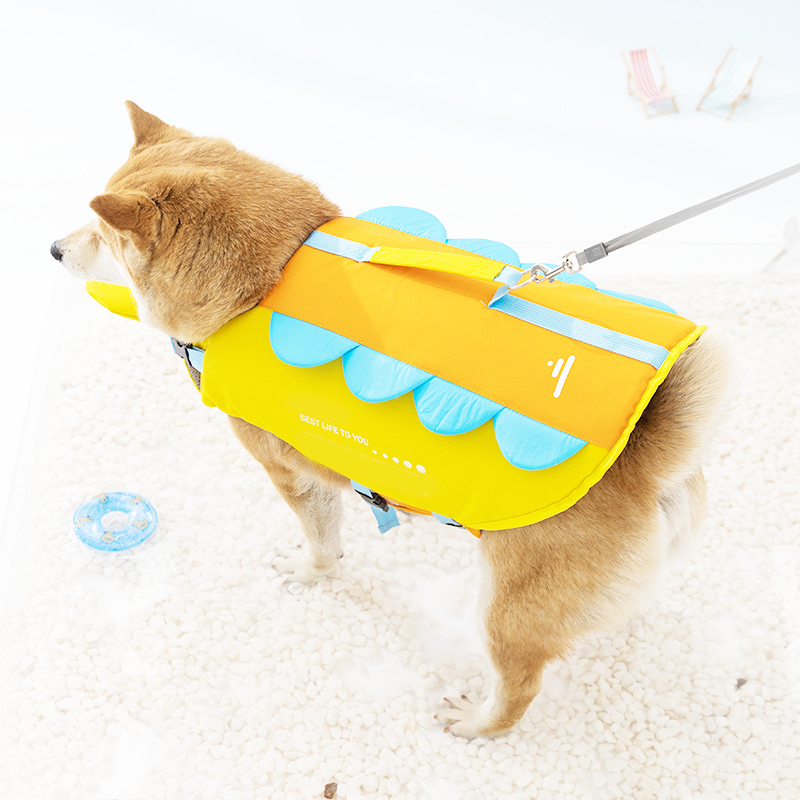 AquaSafe – La flottabilité supérieure pour garantir à votre chien des baignades en toute sécurité et sans effort