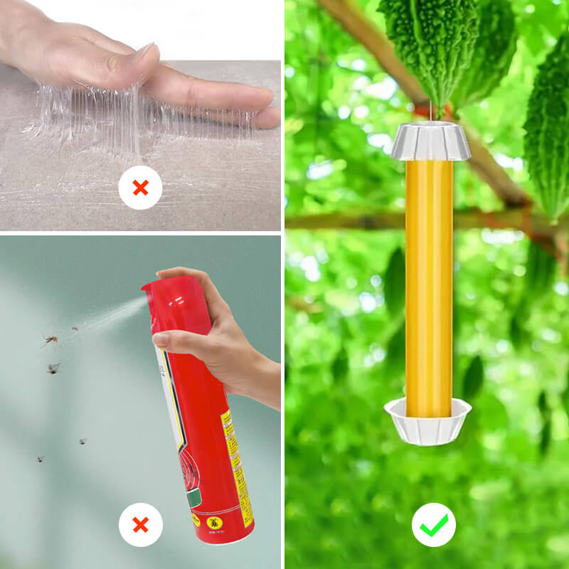 EcoCatch – La solution adhésive non toxique et sûre pour libérer vos espaces extérieurs des mouches