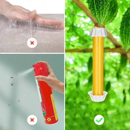 EcoCatch – La solution adhésive non toxique et sûre pour libérer vos espaces extérieurs des mouches