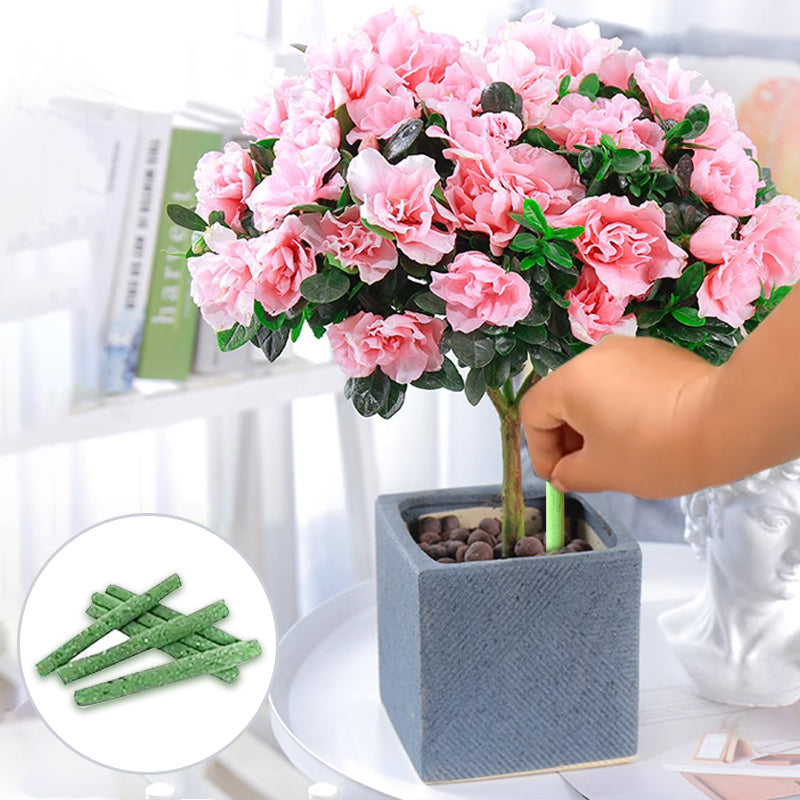 FloraBoost – Les bâtonnets d'engrais organique à libération lente