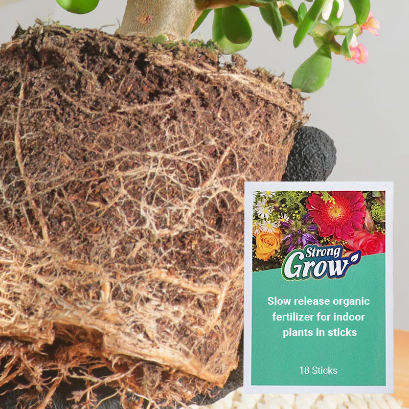 FloraBoost – Les bâtonnets d'engrais organique à libération lente