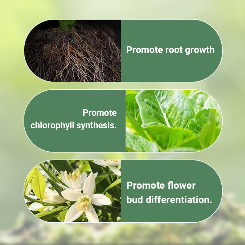 FloraBoost – Les bâtonnets d'engrais organique à libération lente