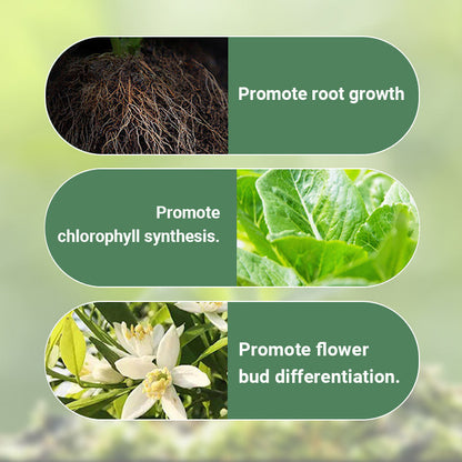 FloraBoost – Les bâtonnets d'engrais organique à libération lente
